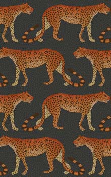 Leopard Walk 109-2008