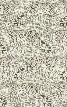 Leopard Walk 109-2011