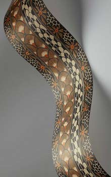 Ardmore Border 109/5026