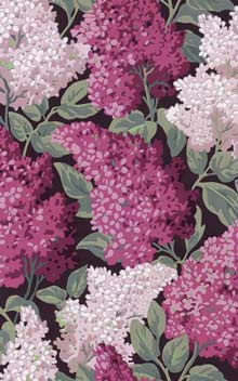 Lilac Grandiflora 115 - 15045