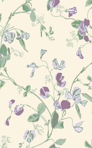 Sweet Pea 100-6030