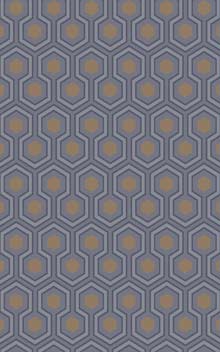 Hicks' Hexagon 95-3015