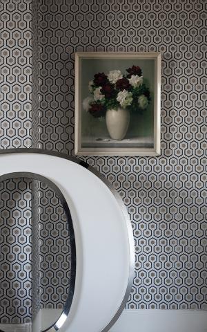 Hicks' Hexagon 95-3015