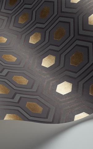 Hicks' Hexagon 95-3015