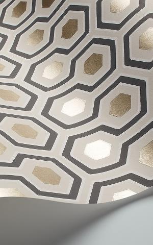 Hicks' Hexagon 95-3016