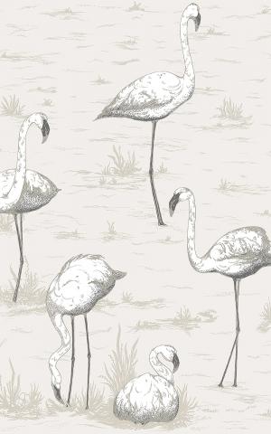 Flamingos 95-8046