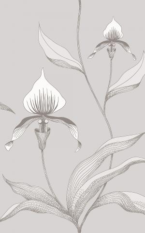 Orchid 95-10055