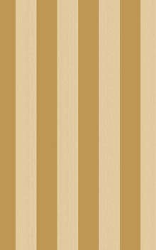 Regatta Stripe 110-3013