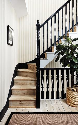 Regatta Stripe 110-3013