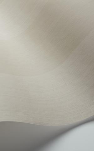 Jaspe Stripe 110-4019