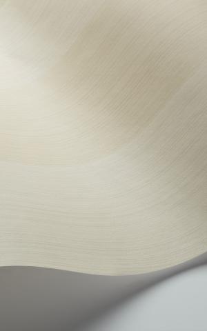 Jaspe Stripe 110-4020