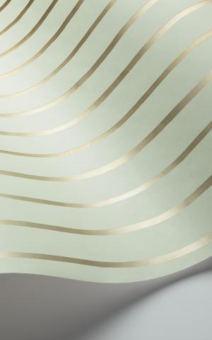 College Stripe 110-7036