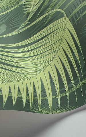  Palm Jungle 112-1003