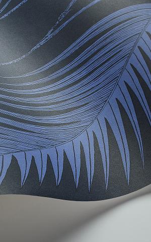  Palm Leaves 112-2008