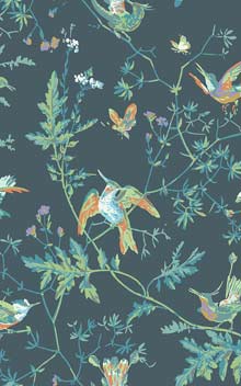 Hummingbirds 112-4014