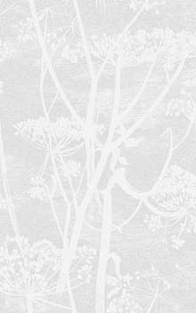 Cow Parsley 112-8027