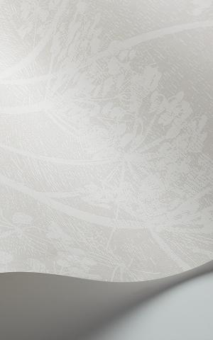 Cow Parsley 112-8027