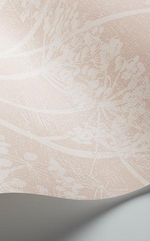 Cow Parsley 112-8028