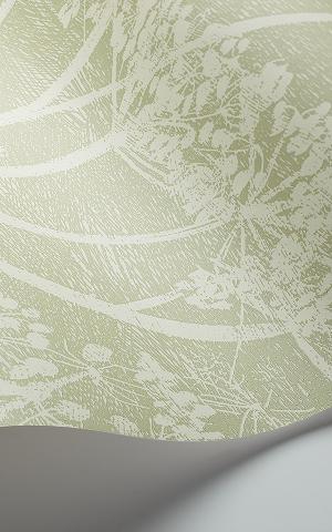 Cow Parsley 112-8029