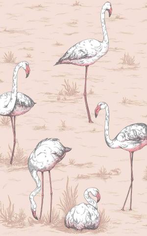 Flamingos 112-10039