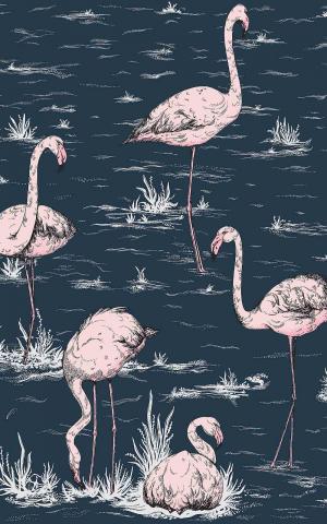 Flamingos 112-10041