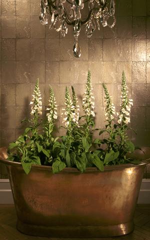 Antique Mirror 92-2008