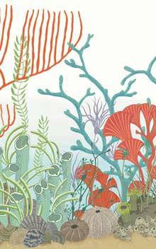 Archipelago Border 103-12054