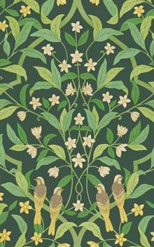 Jasmine & Serin Symphony  117-10029