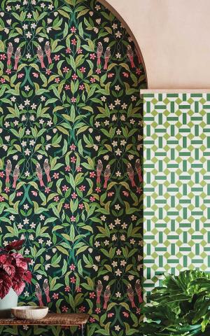 Jasmine & Serin Symphony  117-10029