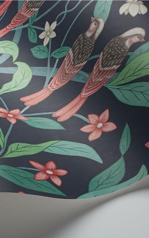 Jasmine & Serin Symphony  117-10030