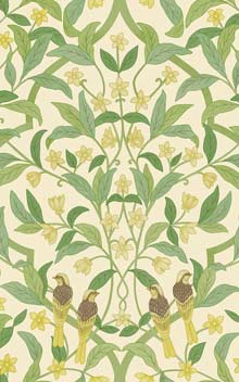 Jasmine & Serin Symphony  117-10031