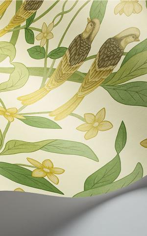 Jasmine & Serin Symphony  117-10031