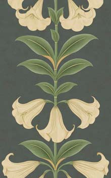Angel's Trumpet 117-3006