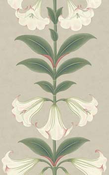 Angel's Trumpet 117-3007