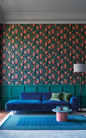 Bougainvillea 117-6016