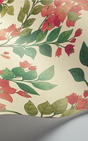 Bougainvillea 117-6016