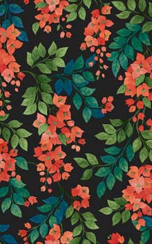 Bougainvillea 117-6017