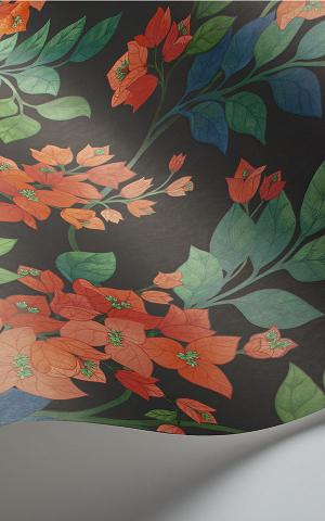 Bougainvillea 117-6017