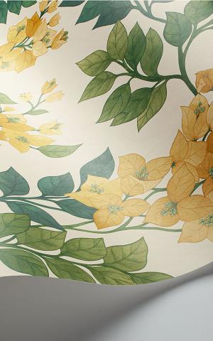 Bougainvillea 117-6018