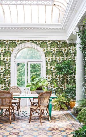 Orange Blossom 117-1001