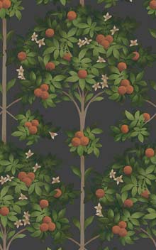 Orange Blossom 117-1003