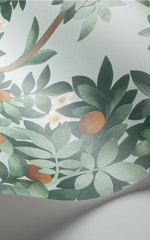 Orange Blossom 117-1004