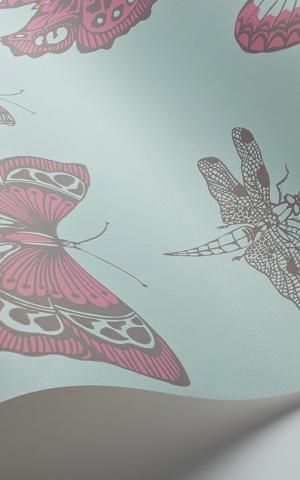 Butterflies & Dragonflies 103-15062