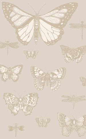 Butterflies & Dragonflies 103-15064