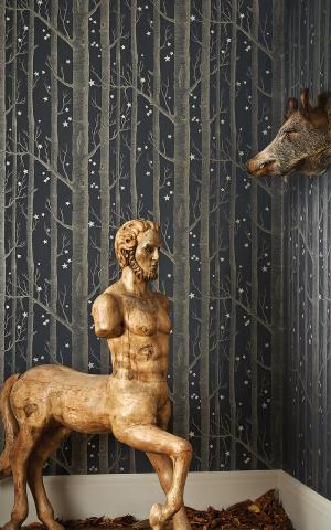 Woods & Stars 103-11047