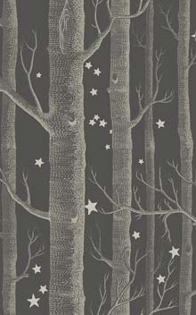 Woods & Stars 103-11053