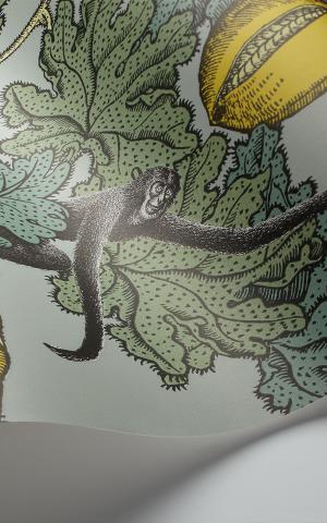 Frutto Proibito 114-1002