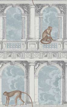 Procuratie Con Vista 114-8015