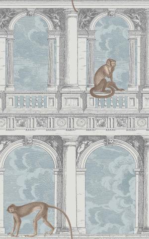 Procuratie Con Vista 114-8015