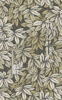 Chiavi Segrete 114-9017